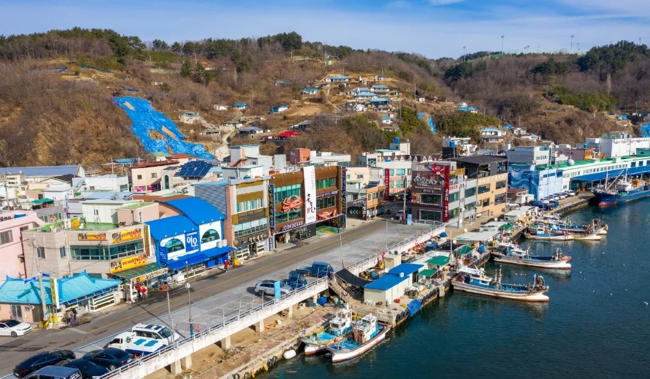 어선이 정박한 항구와 해안 도로, 건물이 이어진 항구 마을을 위에서 본 모습