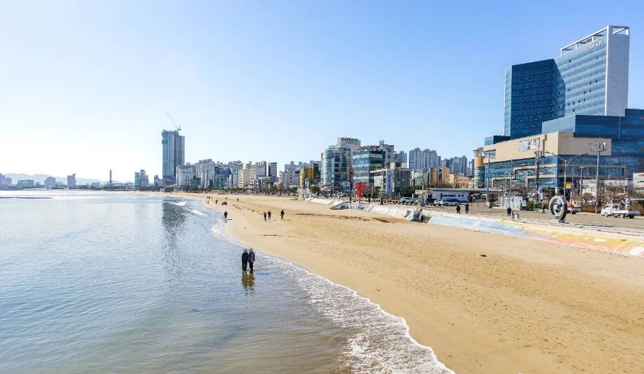 영일대해수욕장 백사장과 해안선을 따라 서 있는 도시 건물
