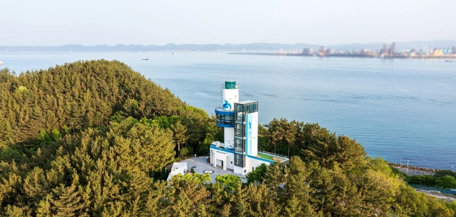 소나무 숲 사이로 흰 전망 시설이 솟은 환호공원 해안 쪽 풍경