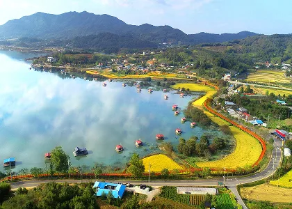 예당호 출렁다리와 주변 저수지 전경, 황금빛 들판과 산자락이 함께 보이는 항공뷰