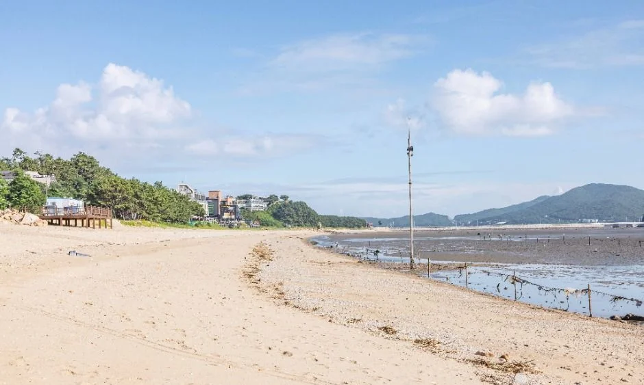 썰물에 드러난 마시안해변 모래사장과 해안도로, 멀리 보이는 산