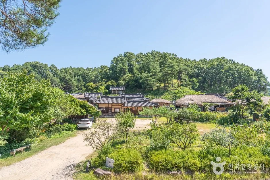 숲과 논밭 사이로 고택이 보이는 무섬마을 전경
