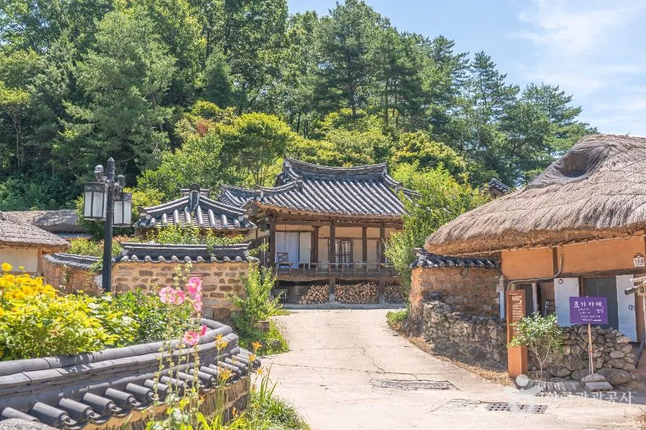 초가지붕과 기와지붕 고택, 돌담길이 이어진 무섬마을 골목
