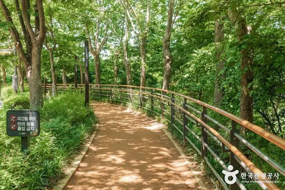 용마산 숲속 데크 산책로와 난간
