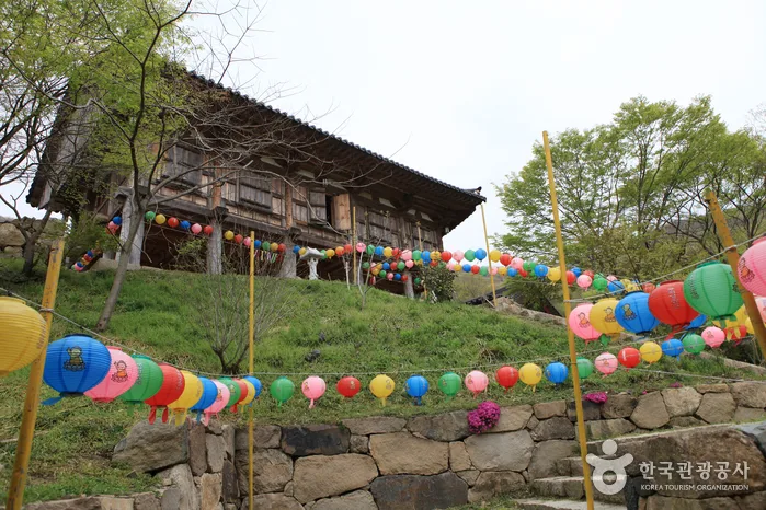 연등이 걸린 용천사 대웅전 모습