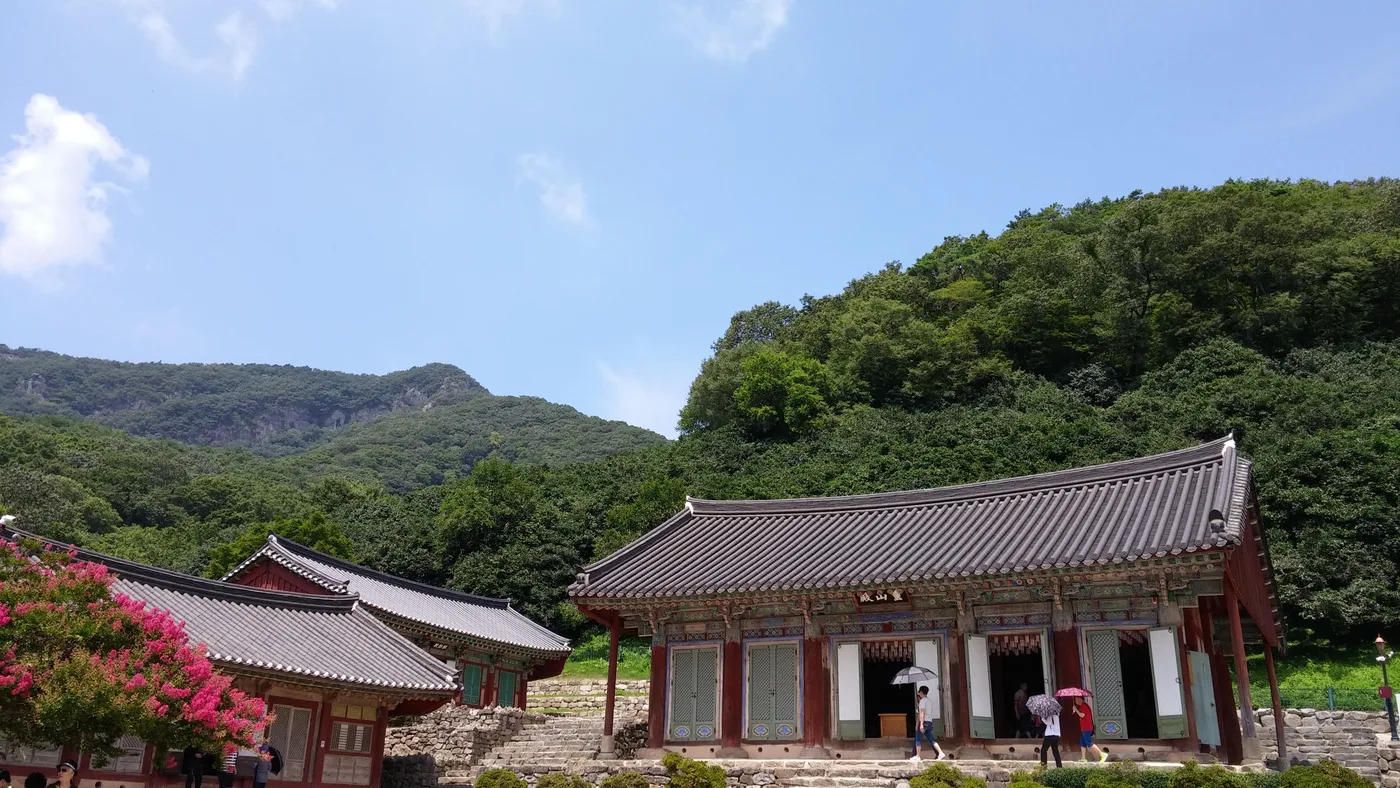 관람객으로 붐비는 선운사 대웅전 앞 마당