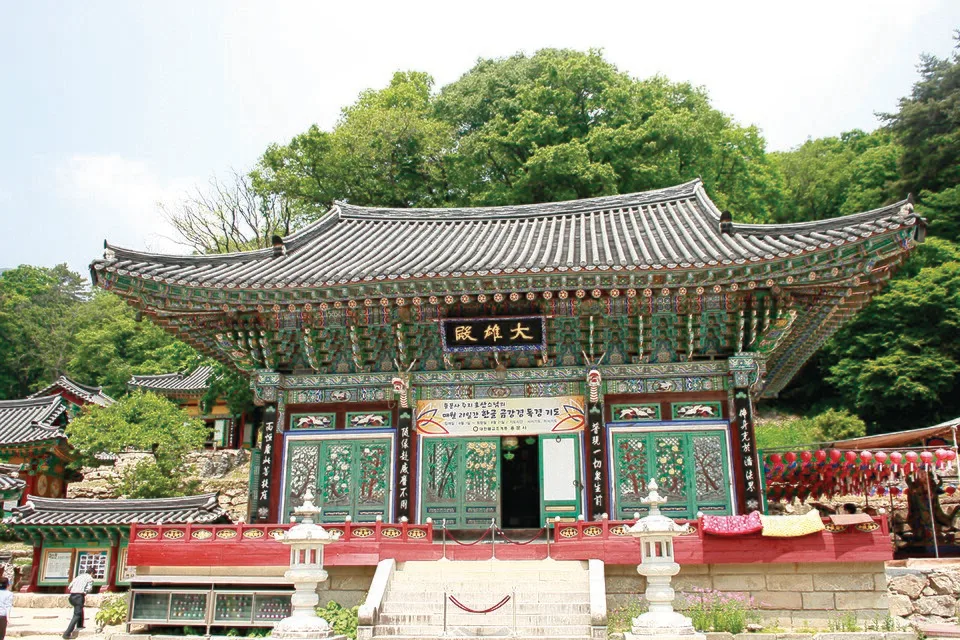 용문사 대웅전 전각과 주변을 둘러싼 초록빛 숲