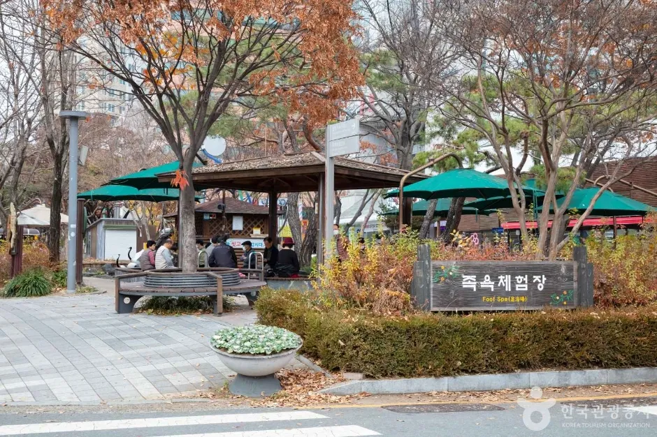 봉명동 유성 족욕체험장 입구 표지와 정자
