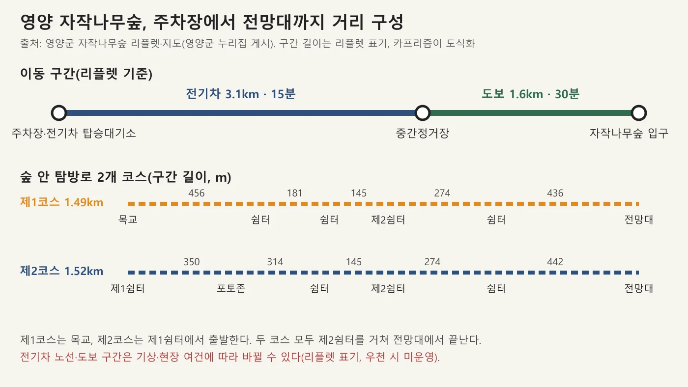영양 자작나무숲 이동 구간과 탐방로 코스 거리 도표