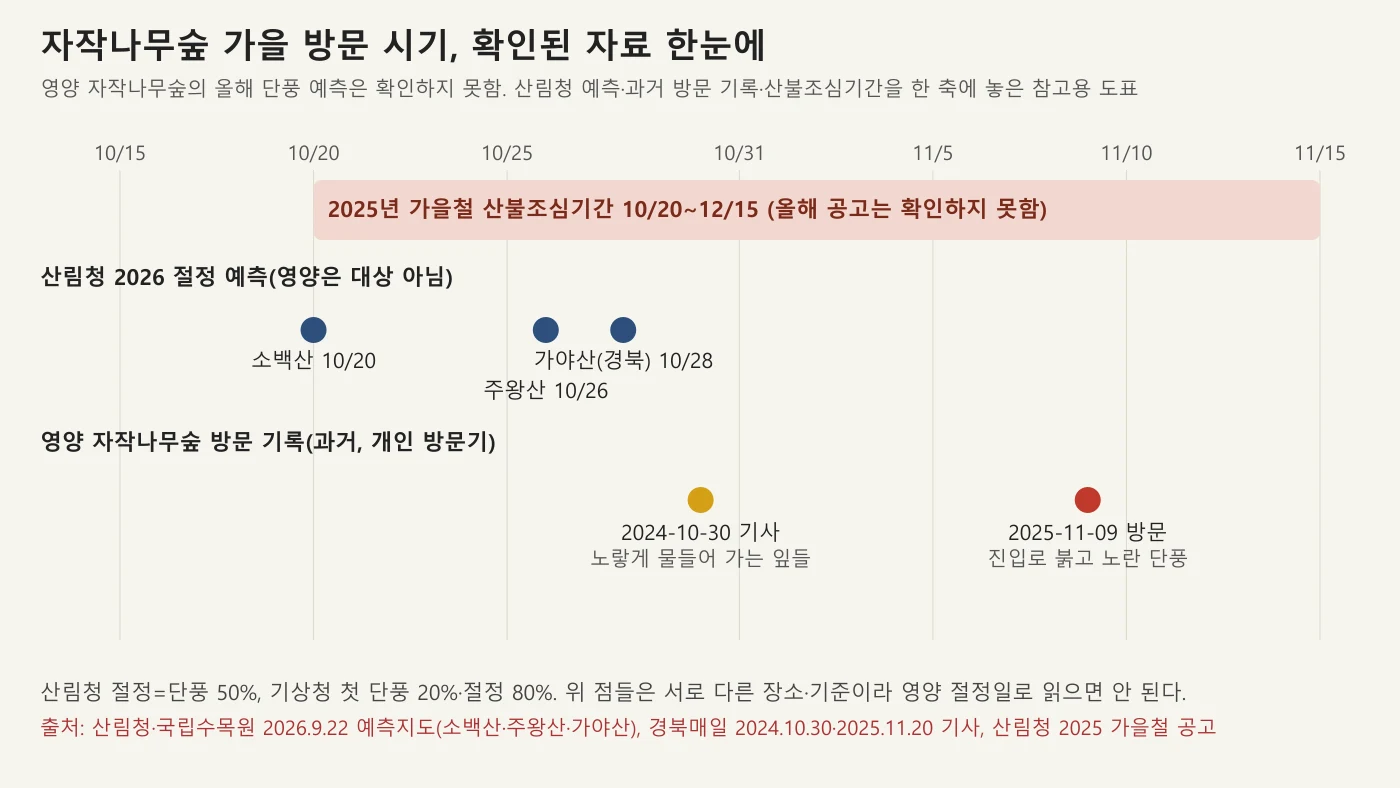 자작나무숲 가을 방문 시기 참고 타임라인
