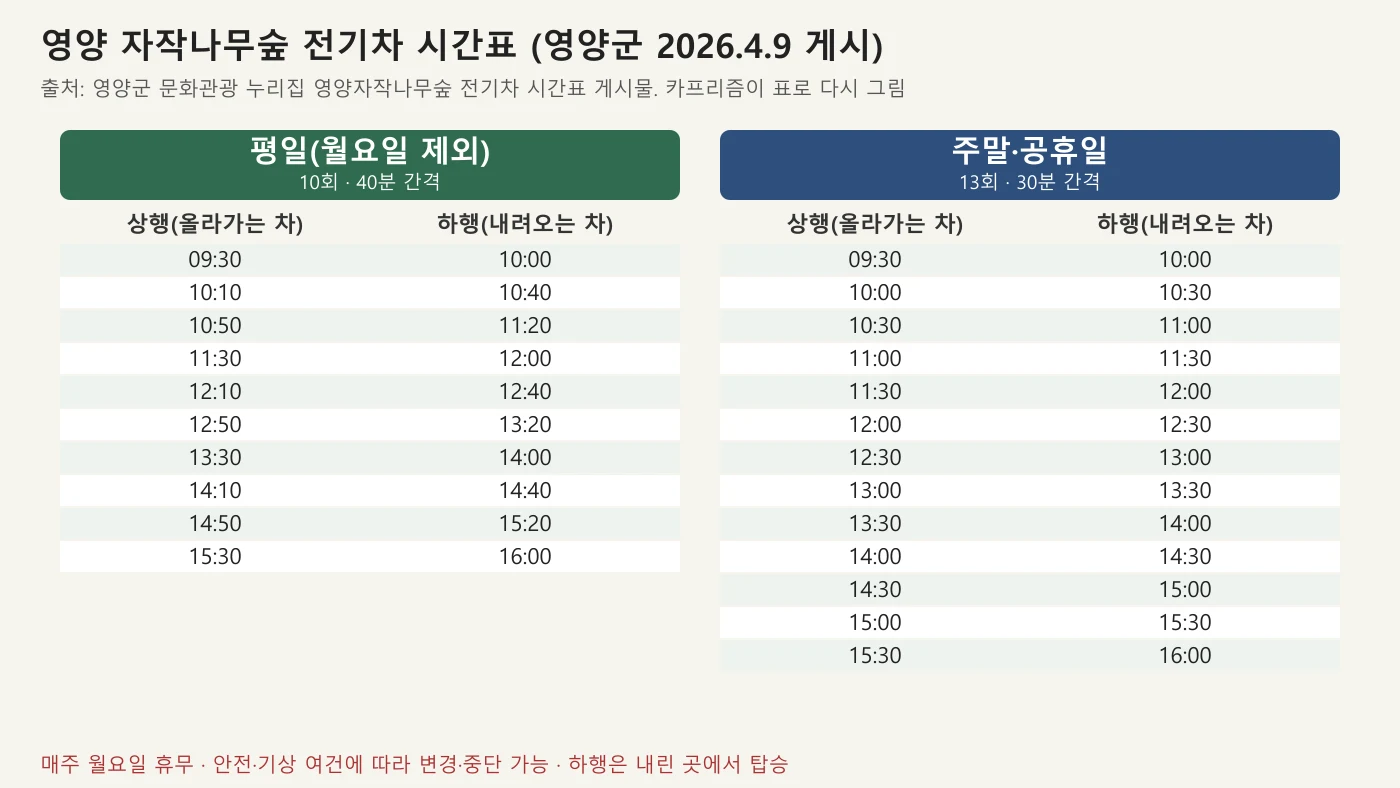 영양 자작나무숲 전기차 평일 주말 시간표 도표
