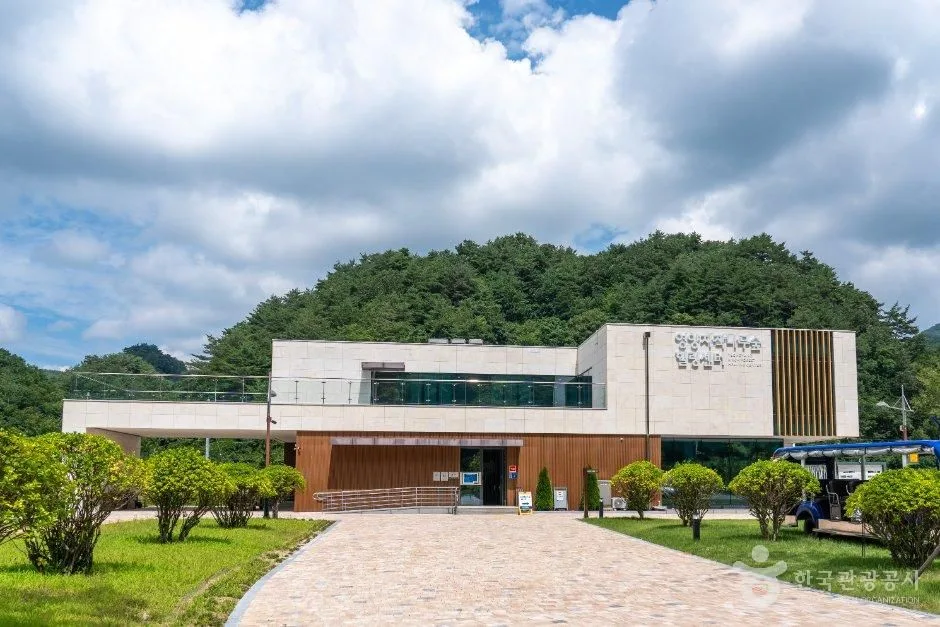 영양 자작나무숲 힐링센터 건물 외관