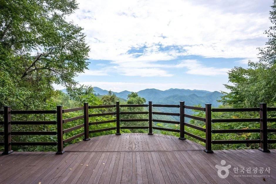 전망대에서 본 산 능선